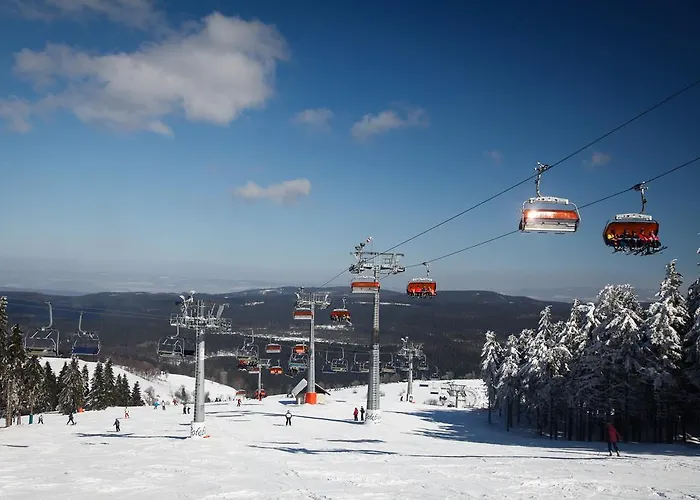 扎罗特科别墅及温泉度假村 3*